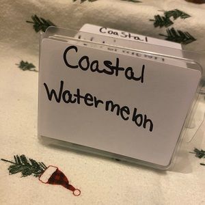 3/$13 Coastal watermelon homemade wax melts
